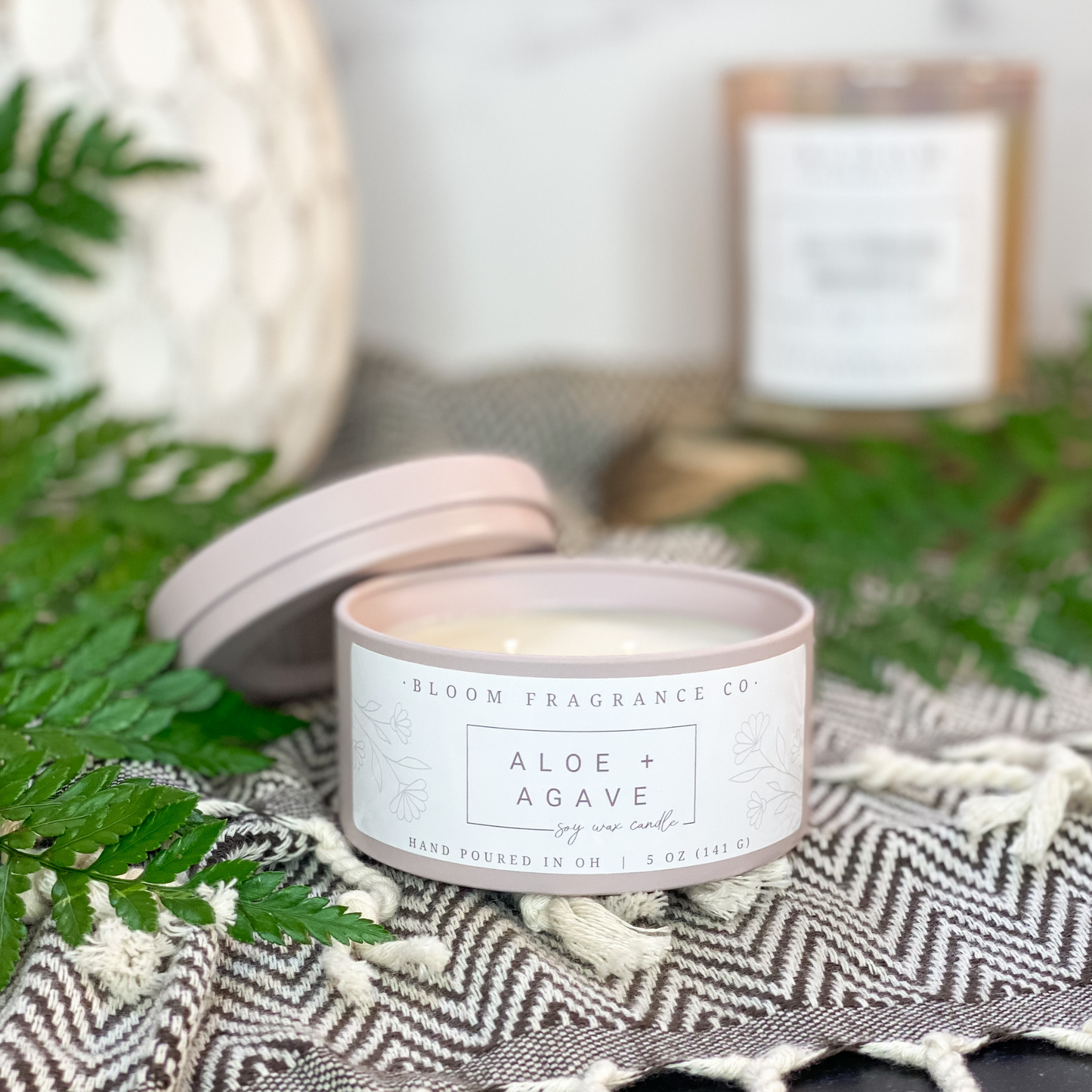 Small Aloe + Agave Soy Wax Candle