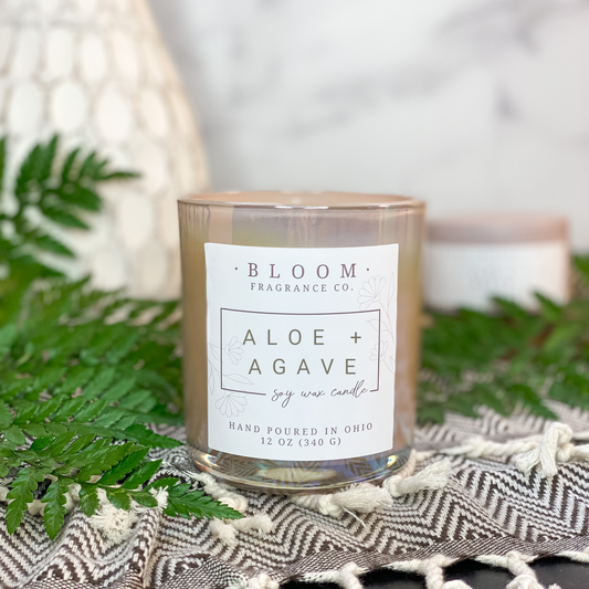 Large Aloe + Agave Soy Wax Candle